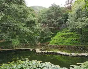 2019上关花景区门票,喜洲上关花景区游玩攻略,上关花景区游览攻略路线地址门票价格
