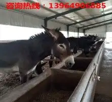 黄页88高清图片