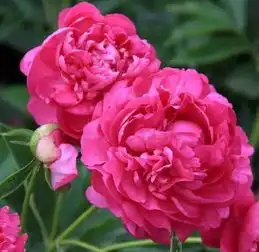 国庆节前打开,越早越好,越快越好