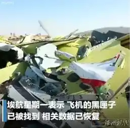 埃航失事客机黑匣子已找到坠机在调查