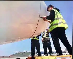突遭鸟击青航机组沉着应对安全落地