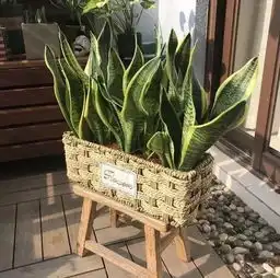 花小钱来的高级感,聪明人早就这么做了