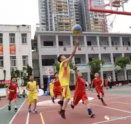 小篮球大梦想2019中国小篮球联赛南阳赛区开赛