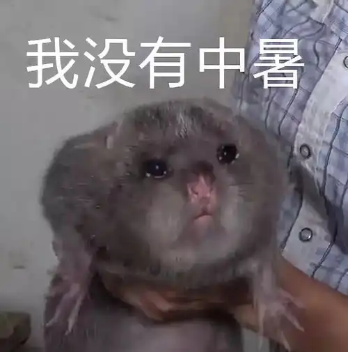 我就是想吃你,没有任何理由这位兄弟你是魔鬼吧