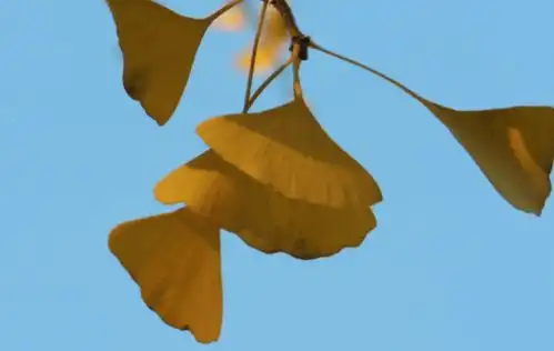 助人随喜,遇人随缘,做人随心