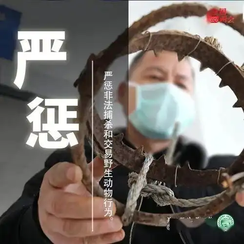 2020的环保目标是什么9图看懂政府工作报告中环保那些事