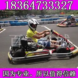 休闲娱乐竞技卡丁车双人卡丁车价格