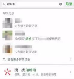 在微信里搜索哈哈哈记录最多的那个人竟然是你的...