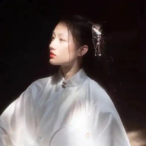 仙气十足的古风句子南风知我意,吹梦到西洲