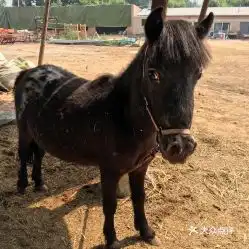 电话,地址,价格,营业时间北京运动健身