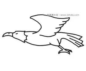 一组老鹰简笔画图片
