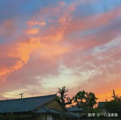 50条适合发朋友圈的干净温柔文案