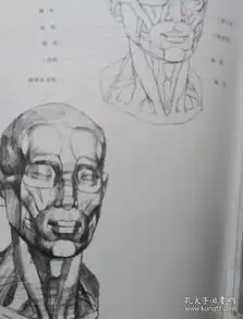 美术学生应试丛书石膏头像美术高考训练美术职业中学中等师范学校张世雄