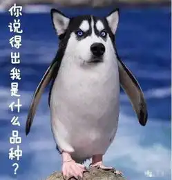 养狗前后的变化,真是感同身受