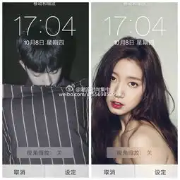 求这张图黑白色部分原图