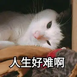 第五人格玩了一年多的游戏,从中获得了什么皮肤还是随身物