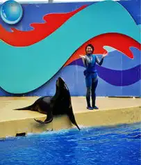 疯狂玩乐暴走香港4日游攻略