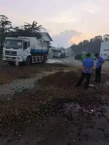 万宁严打烟熏槟榔加工点整治大气污染源