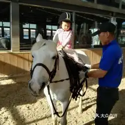 电话,地址,价格,营业时间北京运动健身