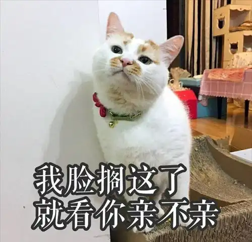求一些撩妹用的文字和图片,逗趣的最好