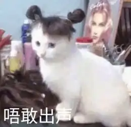 好物真不怪你又黑又丑又显老,原来你这么多年连防晒霜都没涂对