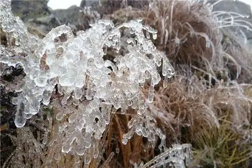 汉中下雪了,冻滴遭不住