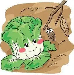 求关于白菜的美图,好看的,萌的可爱的,动漫的都可以,不要太挫了