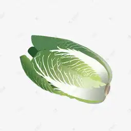 卡通白菜手绘蔬菜素材图片免费下载千库网