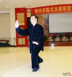 太极拳优秀传播使者丁修齐