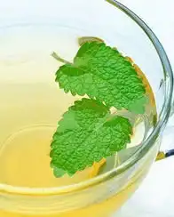夏季养生常喝10款防暑茶