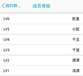 怎样把qq群等级改为这样的