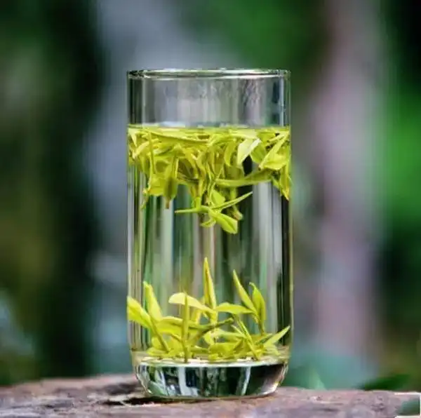 送人白茶好还是绿茶好送礼茶叶选择指南