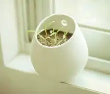关于一班的头像有绿色背景微信头像图片大全