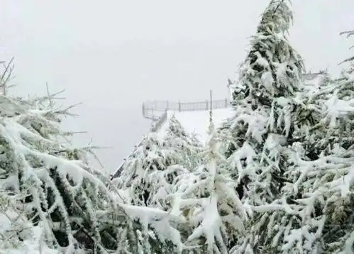 汉中第一场雪,来的有些早