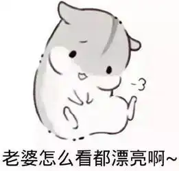 求生欲很强的男生是怎样聊天的