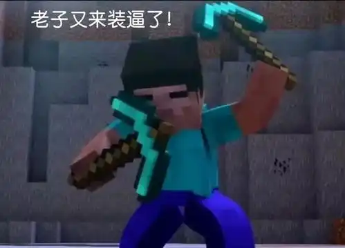 我的世界表情包第十二集
