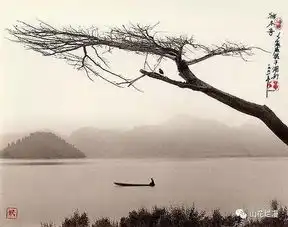 宽广的胸怀,是人生最美的姿态