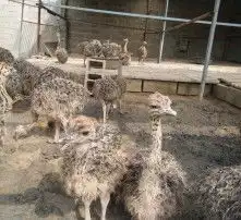 黄页88高清图片