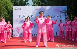 是谁在练太极搞得风生水起为争武林盟主数百名高手云集亦庄