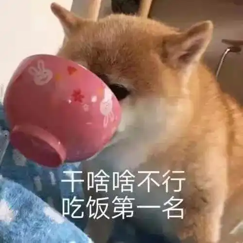 自律即自由,拜拜ddl