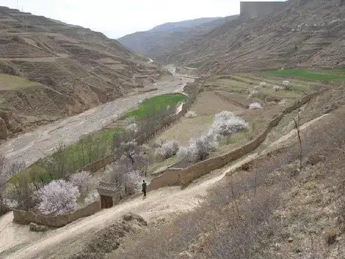 迄今为止,这是我国出土最完整的一套元代玻璃托盏,惊艳无比