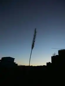 若有心,世界也可以很美