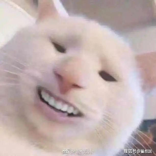当我们做了一些父母不喜欢的事,却又被撞破时,真的会羞耻到