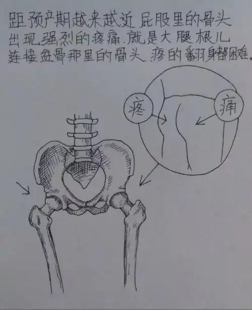 一个男人用漫画记录老婆从怀孕到生产的所有细节,超真实超感人丨超级学院