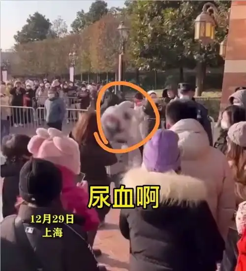 5000人凌晨抢购迪士尼玩偶,男子崩溃憋到尿血这是病,得治