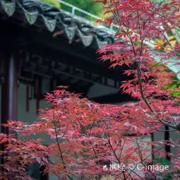 南京得月台攻略,得月台undefined门票游玩攻略地址图片门票价格
