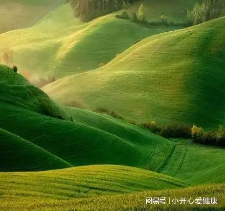 美丽的南京,我的家乡