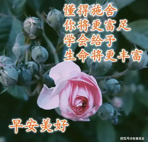处暑早上好问候语图片大全,新版早晨祝福语唯美句子