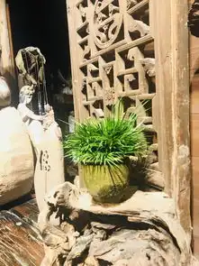 花草四雅之菖蒲,为何如此受文人追捧