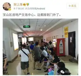 疯了楼市新政传闻下的上海,疯了